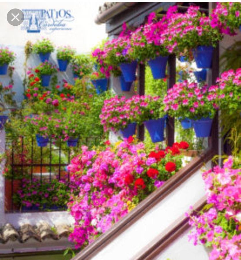 A 20 Metros De La Mezquita Catedral ,apartamentos Turistico Cespedes 5 * Cordova