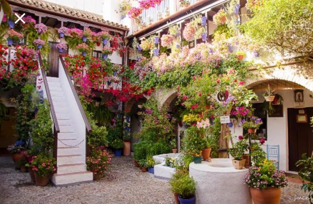 A 20 Metros De La Mezquita Catedral ,apartamentos Turistico Cespedes 5 * Cordova
