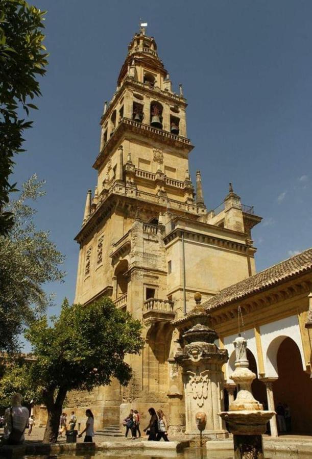 Appartamento A 20 Metros De La Mezquita Catedral ,apartamentos Turistico Cespedes 5