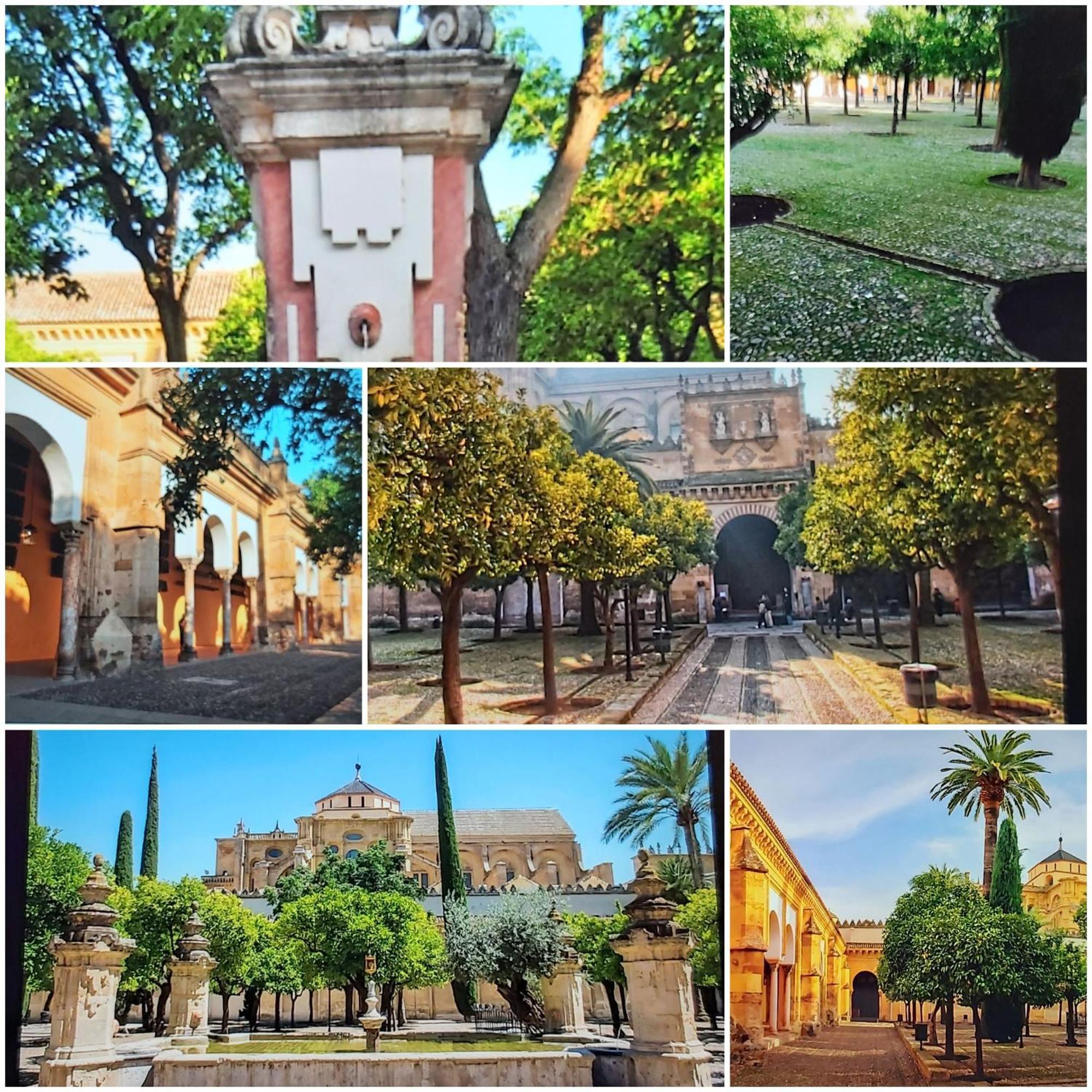 A 20 Metros De La Mezquita Catedral ,apartamentos Turistico Cespedes 5 Appartamento Cordova