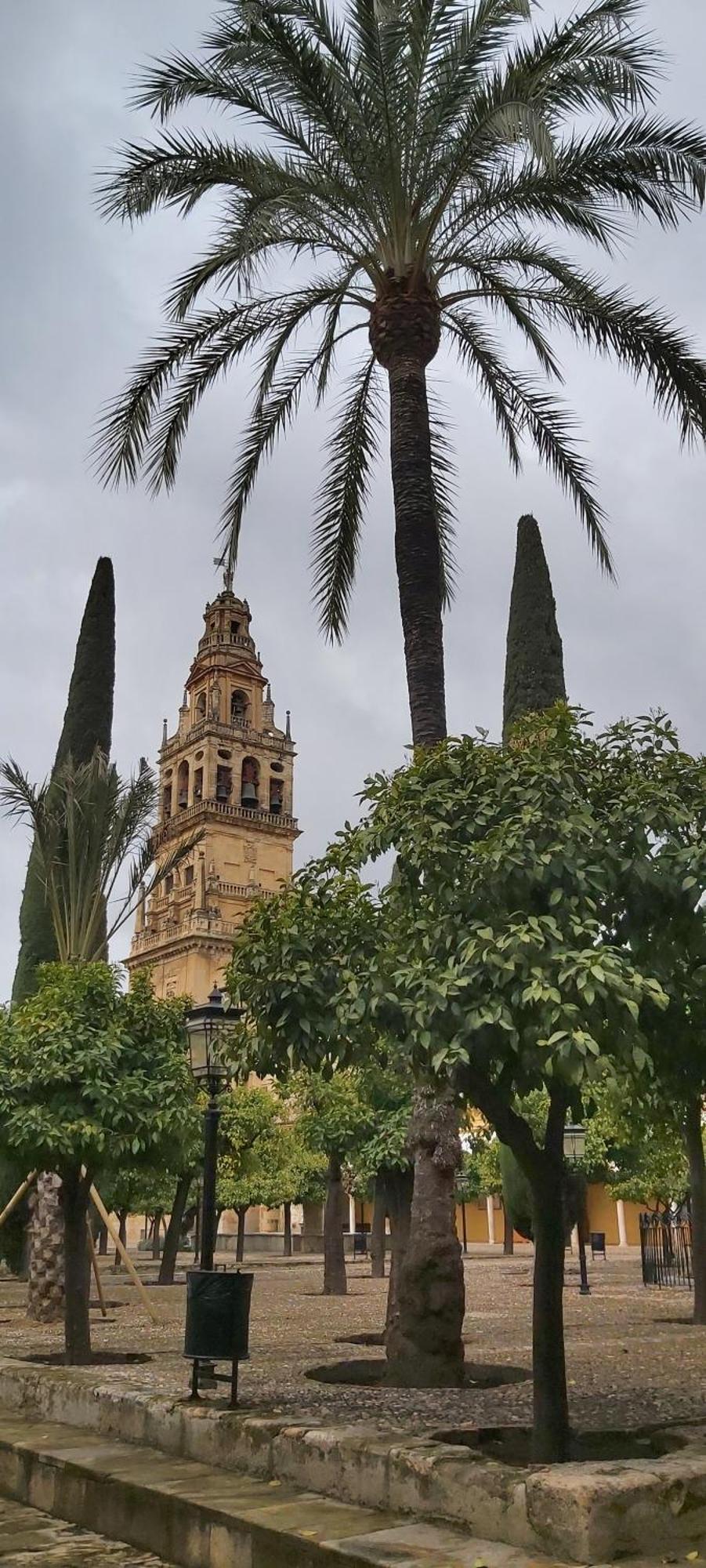A 20 Metros De La Mezquita Catedral ,apartamentos Turistico Cespedes 5 Appartamento Cordova