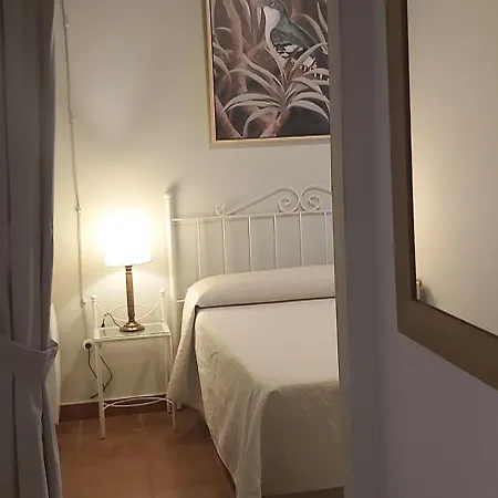 A 20 Metros De La Mezquita Catedral ,Apartamentos Turistico Cespedes 5 Cordoba Room photo