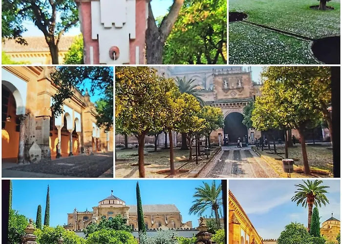 A 20 Metros De La Mezquita Catedral ,Apartamentos Turistico Cespedes 5